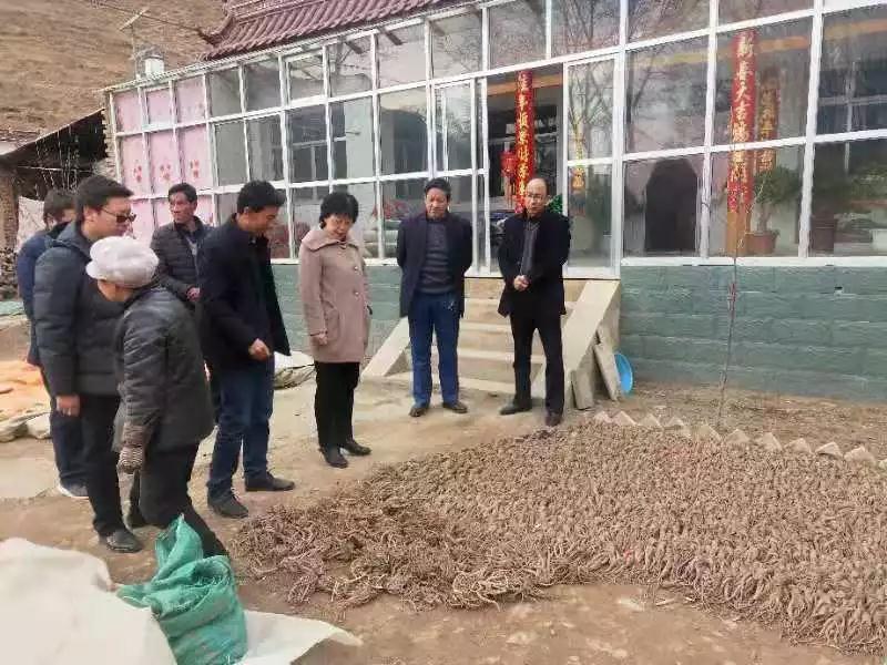 农工党省委会副主委李晓霞一行在业仁村入户走访