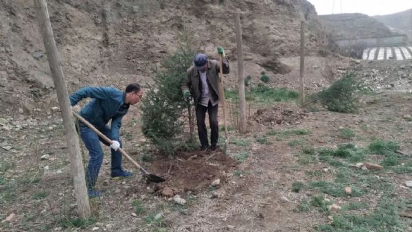 省委会在帮扶村开展&ldquo;植树播绿送树苗&rdquo;活动