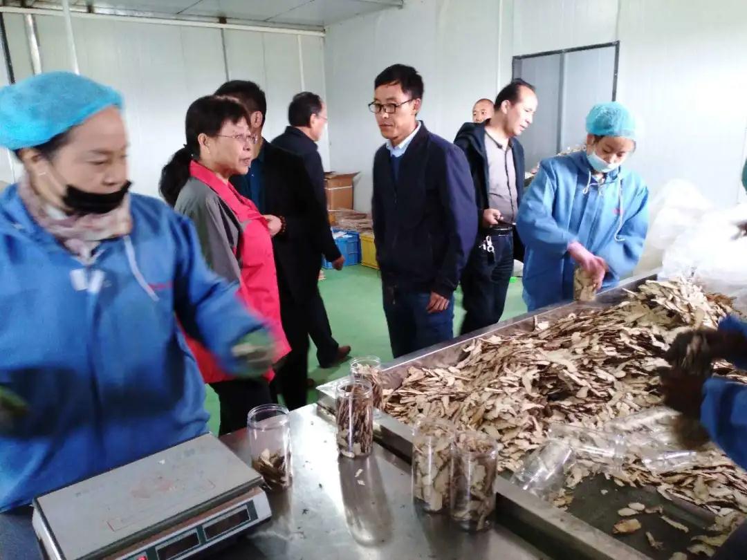 农工党甘肃省委会分别赴武威、甘南、定西调研民营经济营商环境发展情况