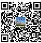 手机网站二维码